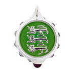 Chrome Plated (Coloured Pendant with 22