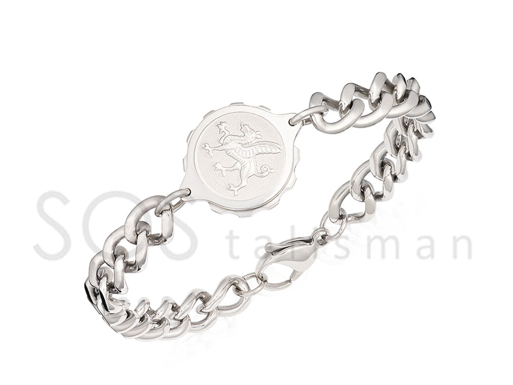 235 567 - Ladies Steel Welsh Dragon Bracelet