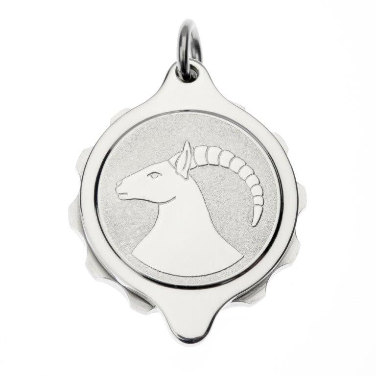 Stainless Steel Plated Zodiac Pendant on 22