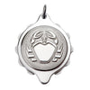 Stainless Steel Plated Zodiac Pendant on 22
