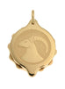 Gold Plated Zodiac Pendant with 22