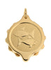 Gold Plated Zodiac Pendant with 22