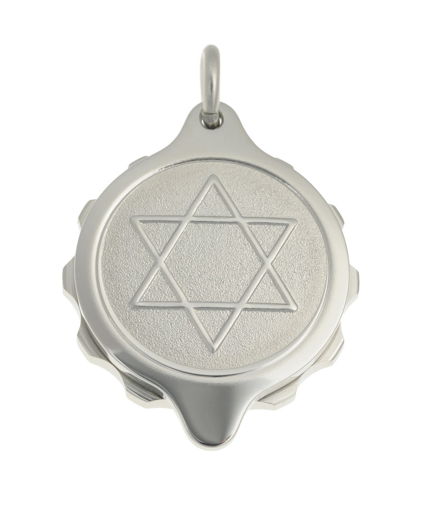 Stainless Steel Star of David Pendant on 22